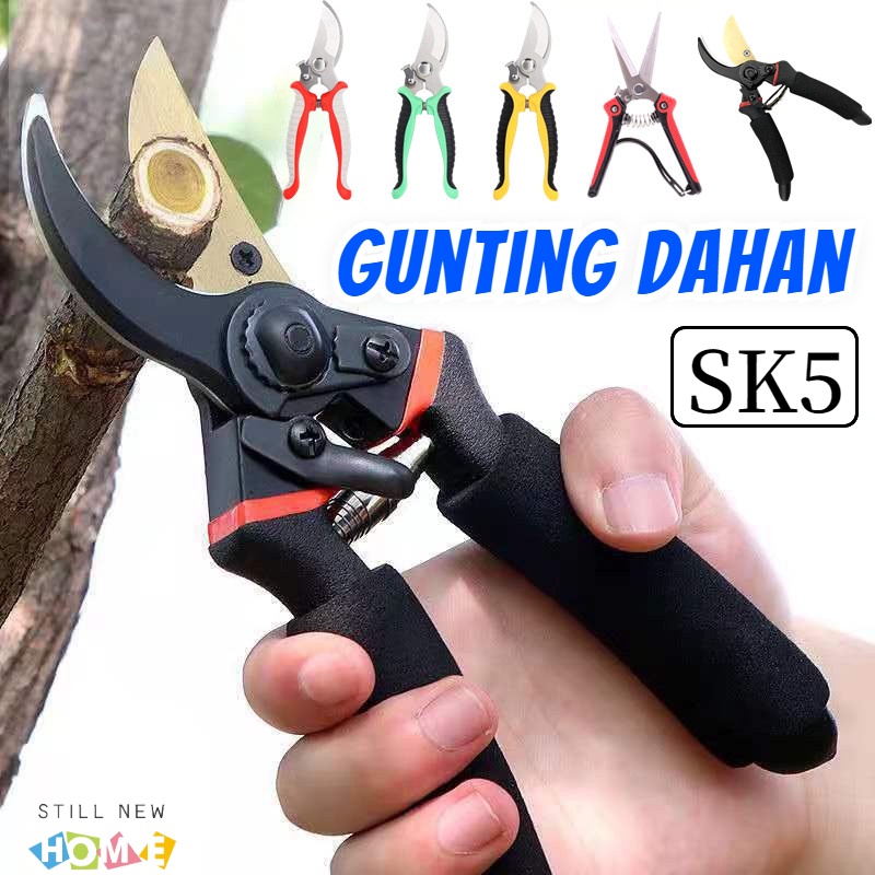 Jual Stainless Steel Gunting Dahan Ranting Bunga Tanaman Gunting