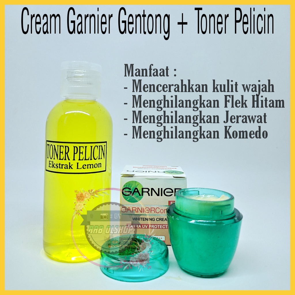 Jual DBS Paket Cream Garnier Gentong Siang Malam Toner Pelicin