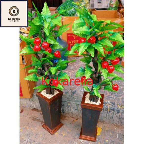 Jual Bunga Sudut Ruangan Lengkap Vas Batu Pohon Bonsai Strobery