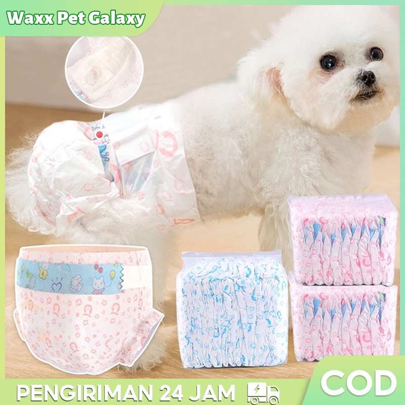 Jual Pet Diapers Popok Anjing Pampers Anjing Kucing Pampers Kucing