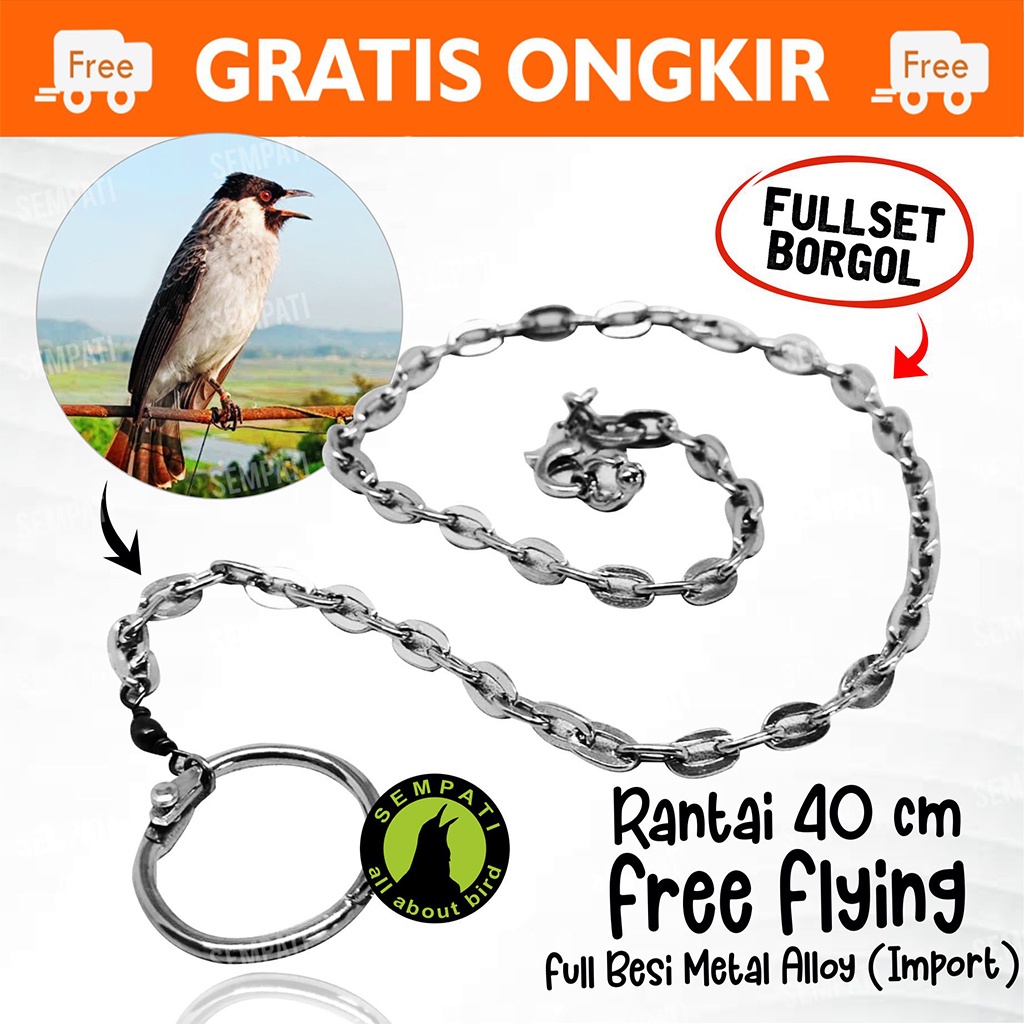 Jual Rantai Kutilang Rantai Ring Fullset Borgol Kaki Burung Kutilang