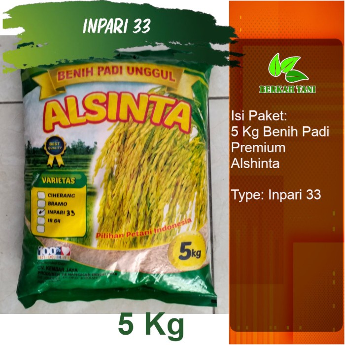 Jual Arya99 Benih Padi Inpari 33 Premium Pak Tani 5 Kg Shopee Indonesia