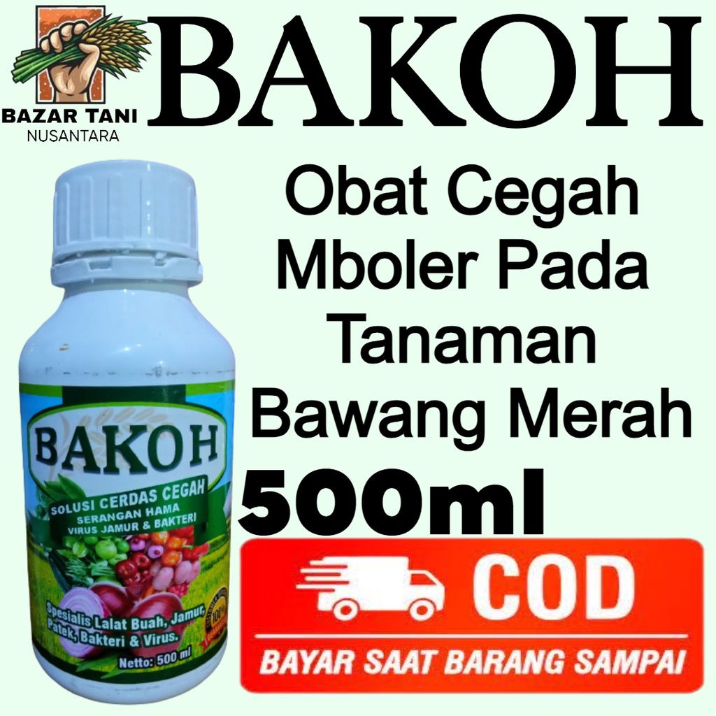 Jual BAKOH 500 Ml Mencegah Mboler Pada Tanaman Bawang Merah Dengan