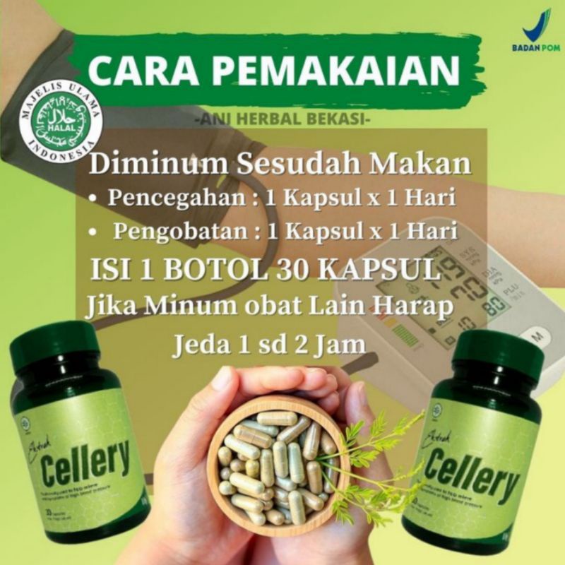 Jual OBAT KOMPLIKASI EKSTRAK CELLERY OBAT DARAH TINGGI ASLI 100