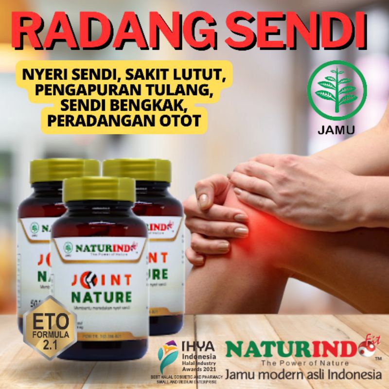 Jual Obat Pengapuran Tulang Radang Tulang Nyeri Sendi Herbal Naturindo