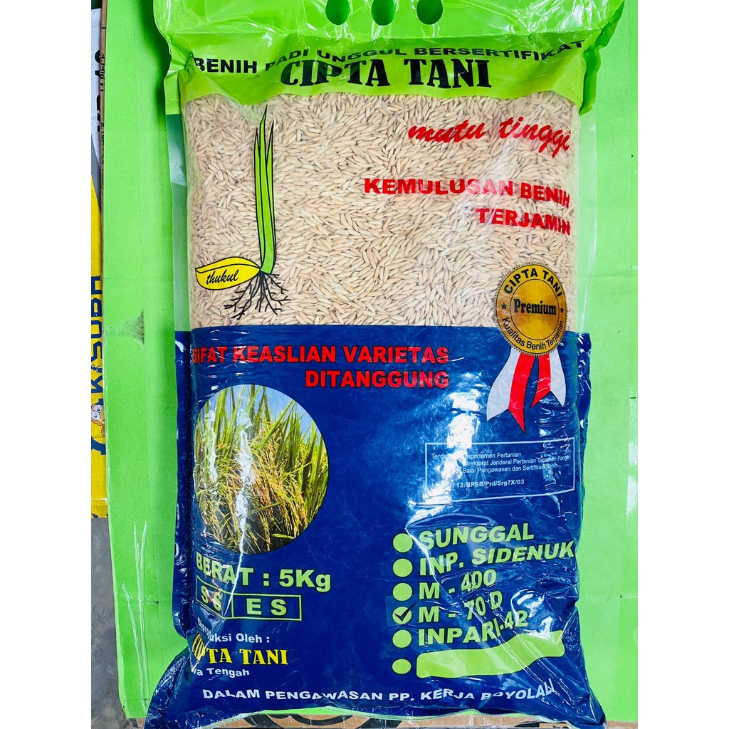 Jual Terbaik Benih Padi Unggul Varietas M 70D Isi 5kg Dari CIPTA TANI