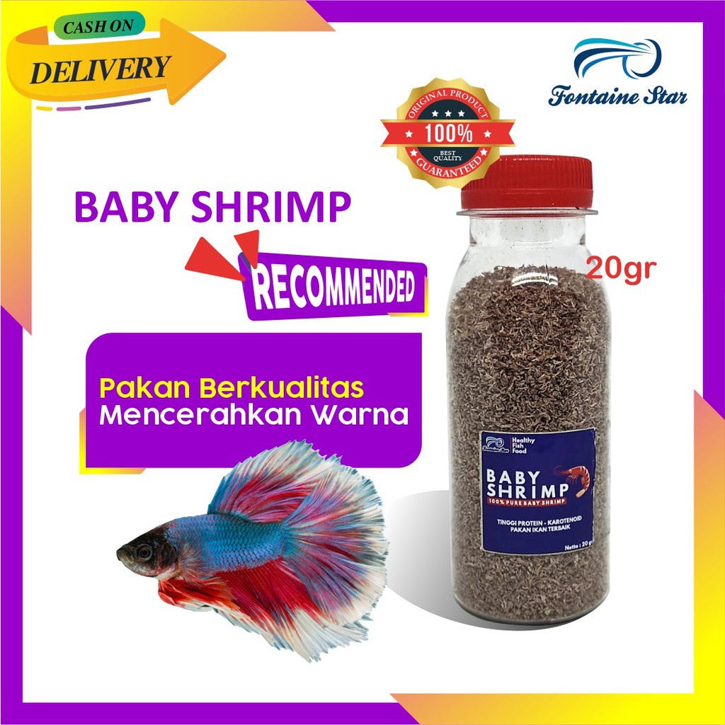 Jual Baby Shrimp 20gram Pakan Ikan Cupang Guppy Dll Shopee Indonesia