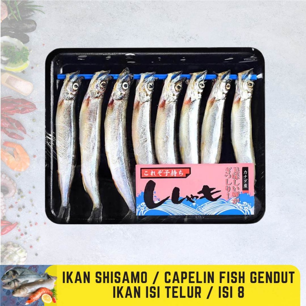 Jual Ikan Shisamo Fish Premium Full Telur Ikan Capelin Kaya Gizi Omega