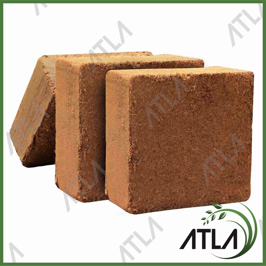 Jual Cocopeat Block Sabut Kelapa Halus Media Tanam Hidroponik Cocodust