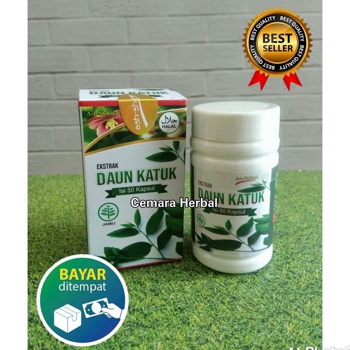 Jual Kapsul Ekstrak Daun Katuk Original Ash Shihhah Pelancar Asi