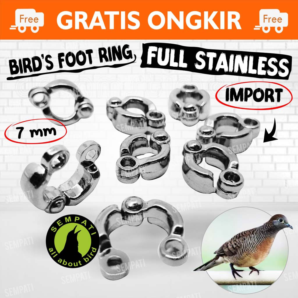 Jual Ring Borgol Ring Kaki Burung Mm Mm Gelang Cincin Stainless