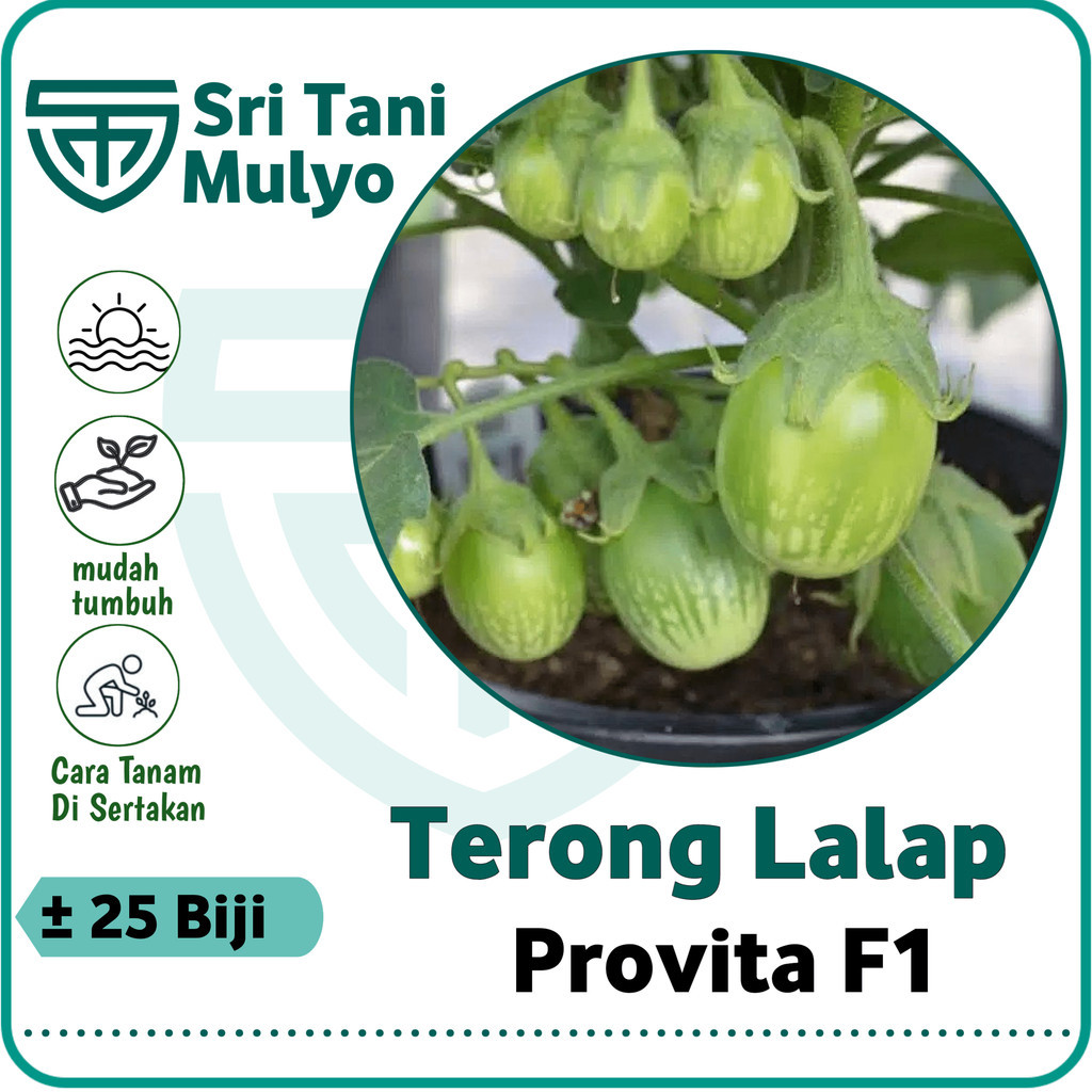 Jual 25 Biji Benih Terong Lalap Hijau PROVITA F1 CAP PANAH MERAH