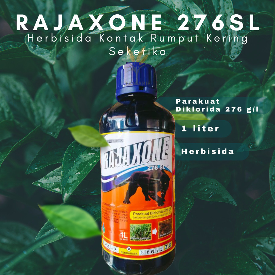 Jual Rajaxone 276 SL 1 Liter Parakuat Diklorida Herbisida Rumput