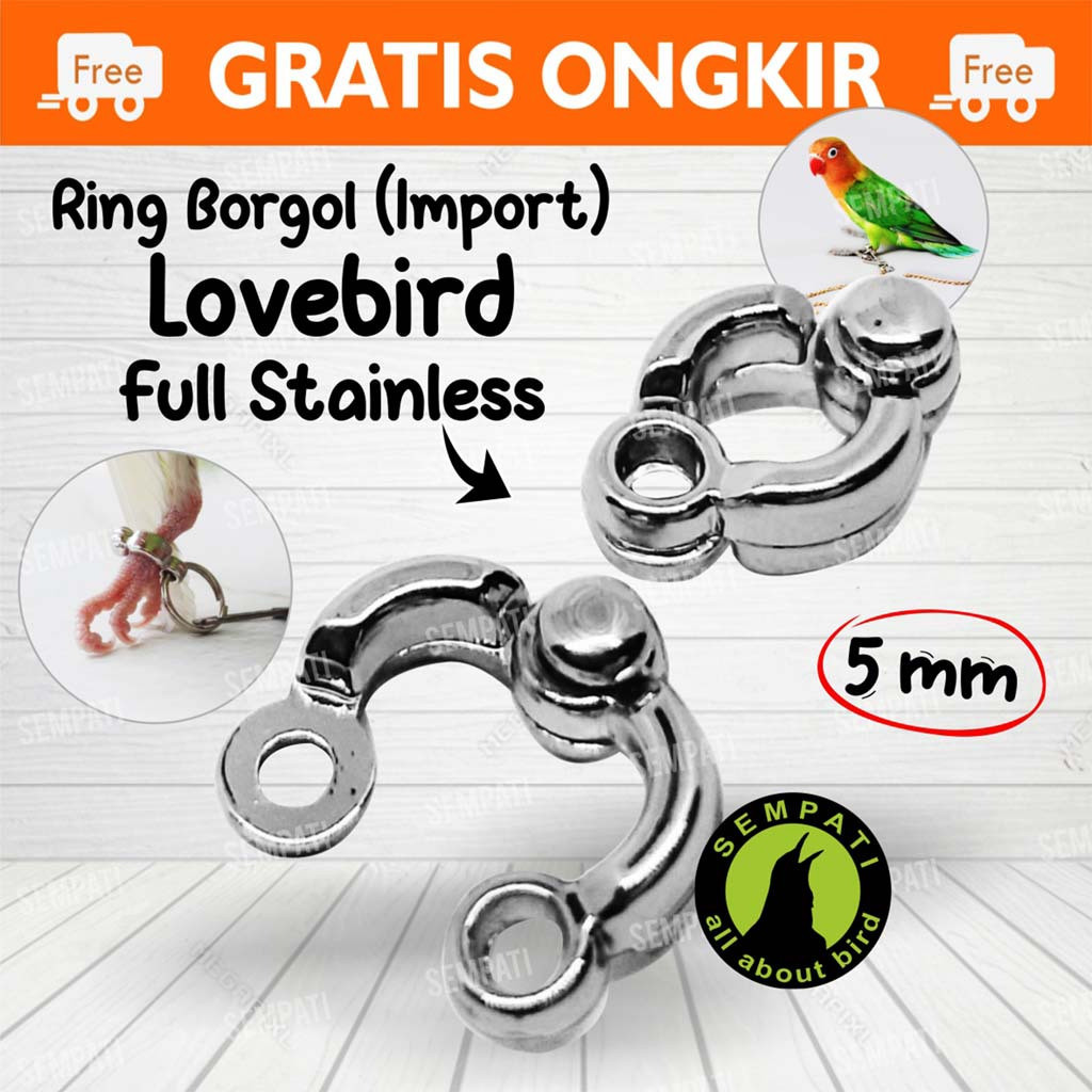 Jual Ring Borgol Ring Kaki Burung Mm Mm Gelang Cincin Stainless