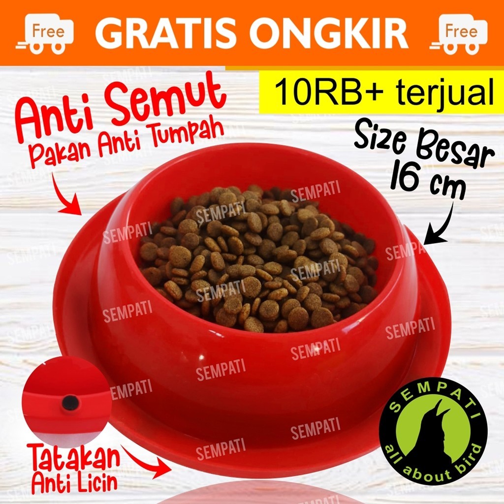 Jual Mangkok Pakan Kucing Pet Bowl Anti Semut Tempat Makan Kucing