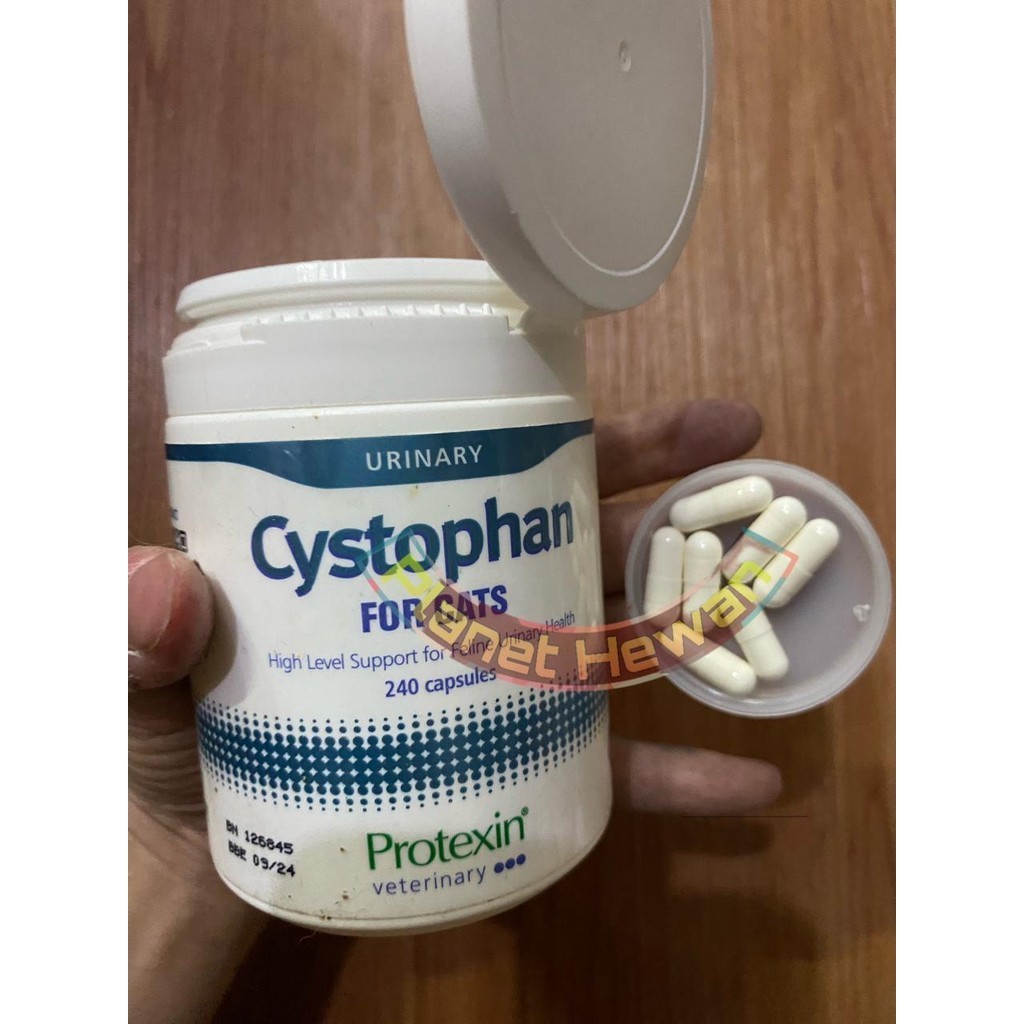 Jual Cystophan For Cats Urinary Health FUS FLUTD Obat Saluran Kencing