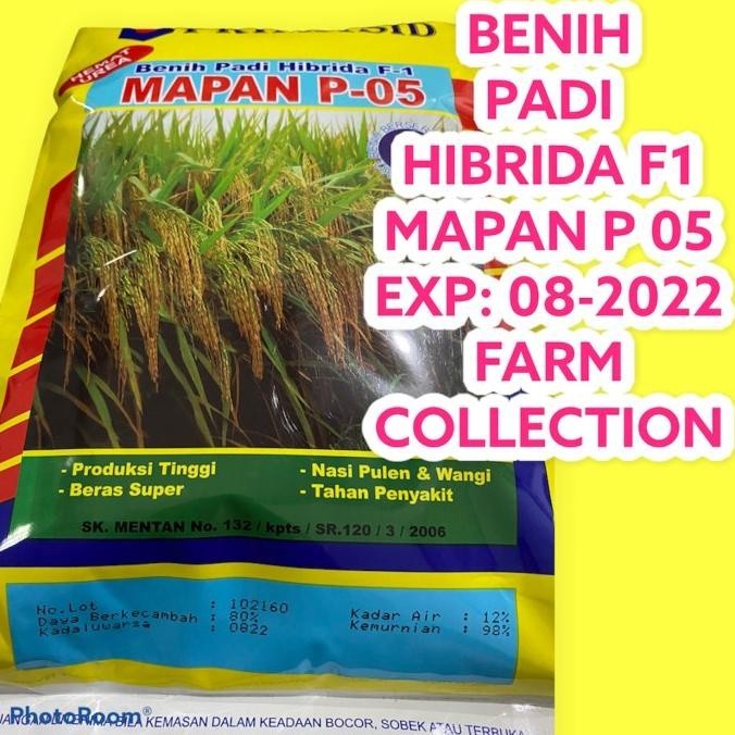 Jual Benih Padi Hibrida MAPAN 05 Shopee Indonesia