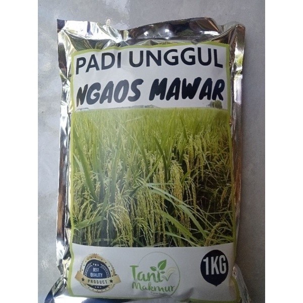 Jual Benih Padi Unggul Ngaos Mawar Kemasan Kg Shopee Indonesia