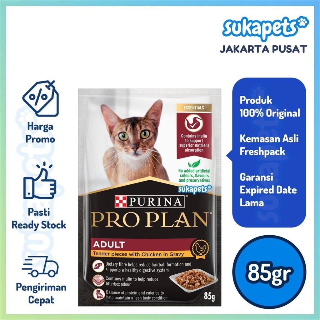 Jual Pro Plan Cat Adult Chicken Makanan Basah Kucing Dewasa Gr