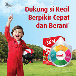 Jual SGM Eksplor 5 Dengan IronC Susu Bubuk Rasa Madu 900GR X 3