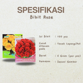 Jual Benih Biji Bibit Tanaman Hias Import Bunga Mawar Rose Merah Dan