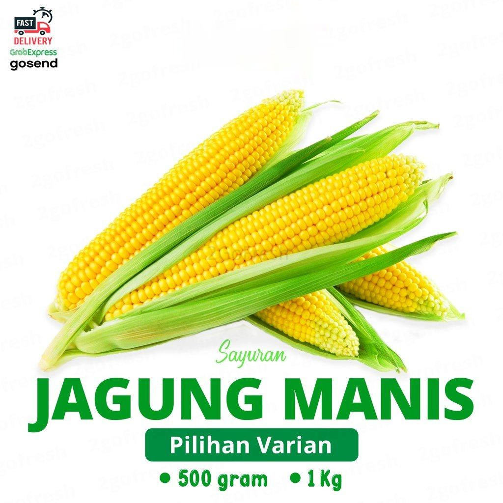 Jual Jagung Manis Sweet Corn Fresh Sayur Sayuran Shopee Indonesia