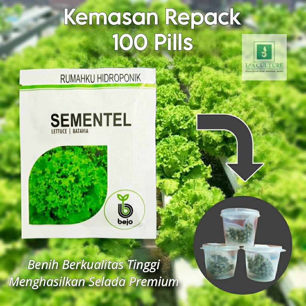 Jual Benih Selada SEMENTEL Repack 100 Pills Lettuce Batavia Bejo Seed