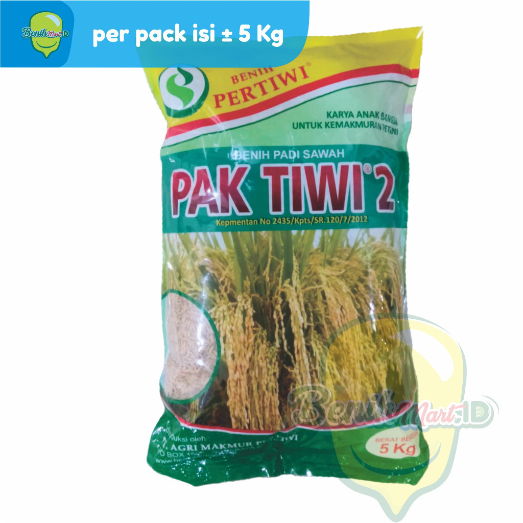 Jual Benih Padi PAK TIWI 2 5KG Shopee Indonesia