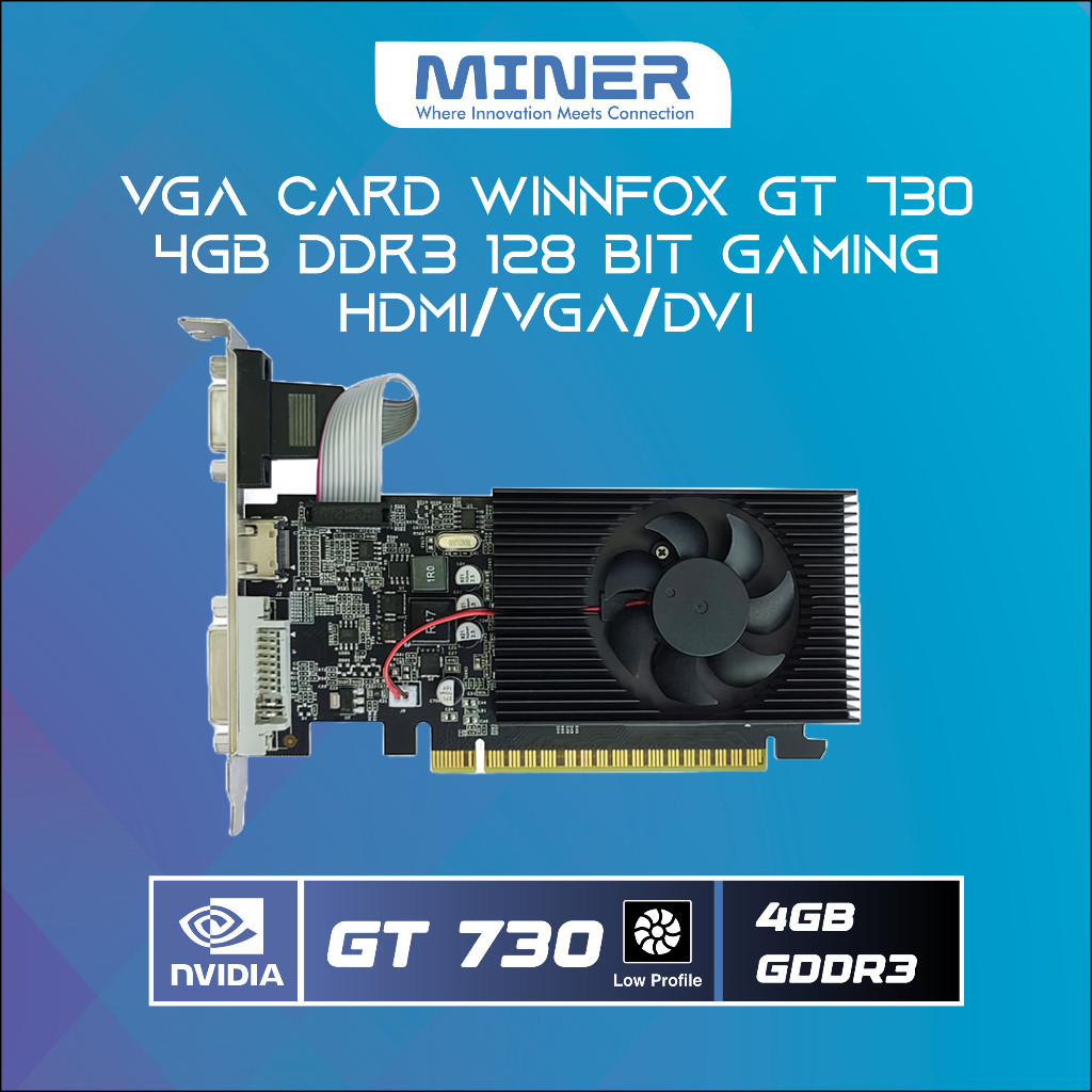 Jual VGA Card Winnfox GT 730 4GB DDR3 128 Bit Gaming HDMI VGA DVI