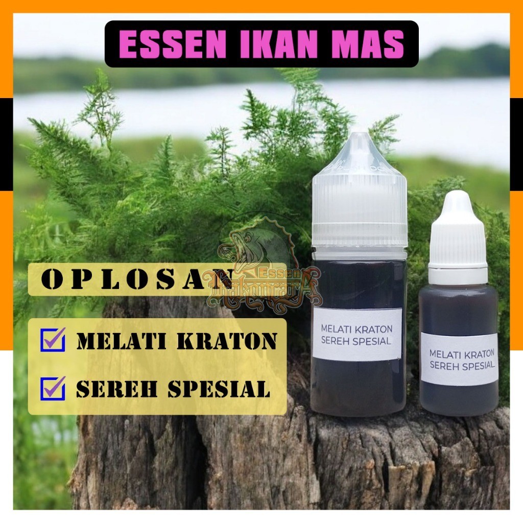 Jual Formula Spesial Essen Ikan Mas Melati Kraton Sereh Spesial Untuk