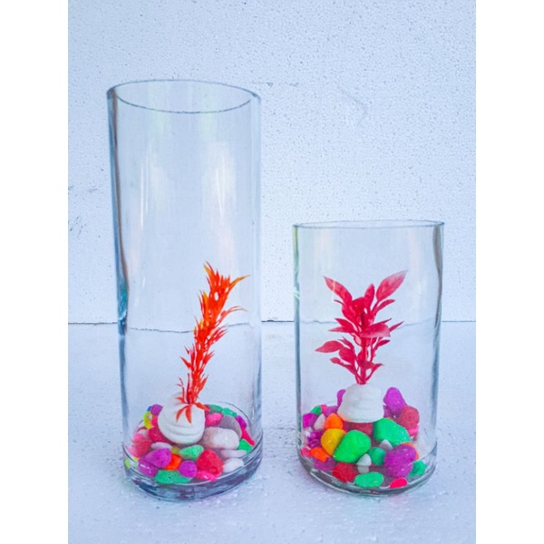 Jual Toples Selai Toples Kaca Ikan Cupang Aquarium Mini Tabung Ikan Cupang Ikan Hias Shopee