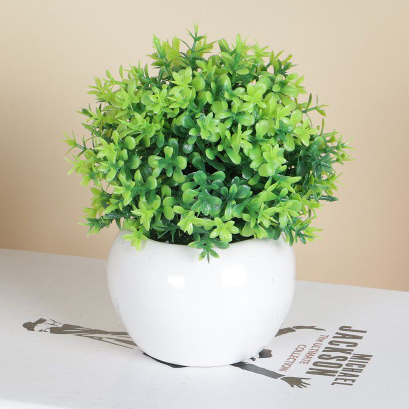 Jual Pot Keramik Bunga Rumput Mini Artificial | Shopee Indonesia