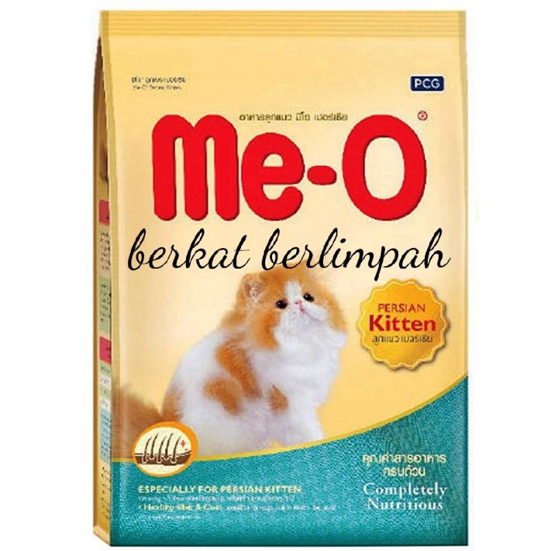 Meo 2024 persian kitten