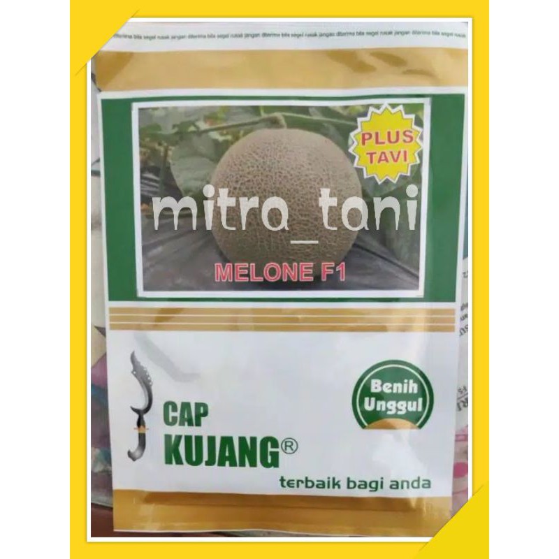 Jual benih melon hibrida MELONE F1 PLUS TAVI isi +500butir dari CAP