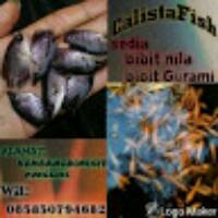 Jual Lampu Jalan Gantung Surabaya