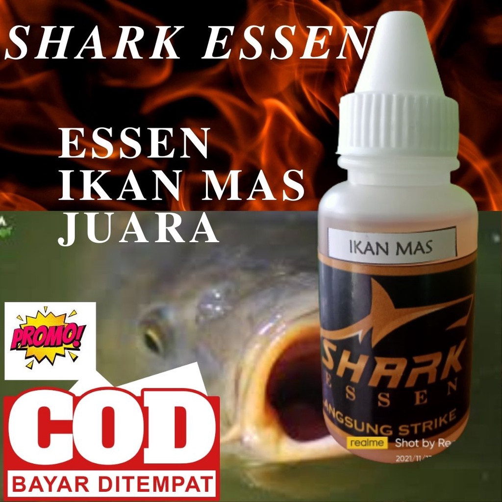 Jual Essen Ikan Mas Galatama Harian Dan Kilo Gebrus Shark Essen 30 Ml