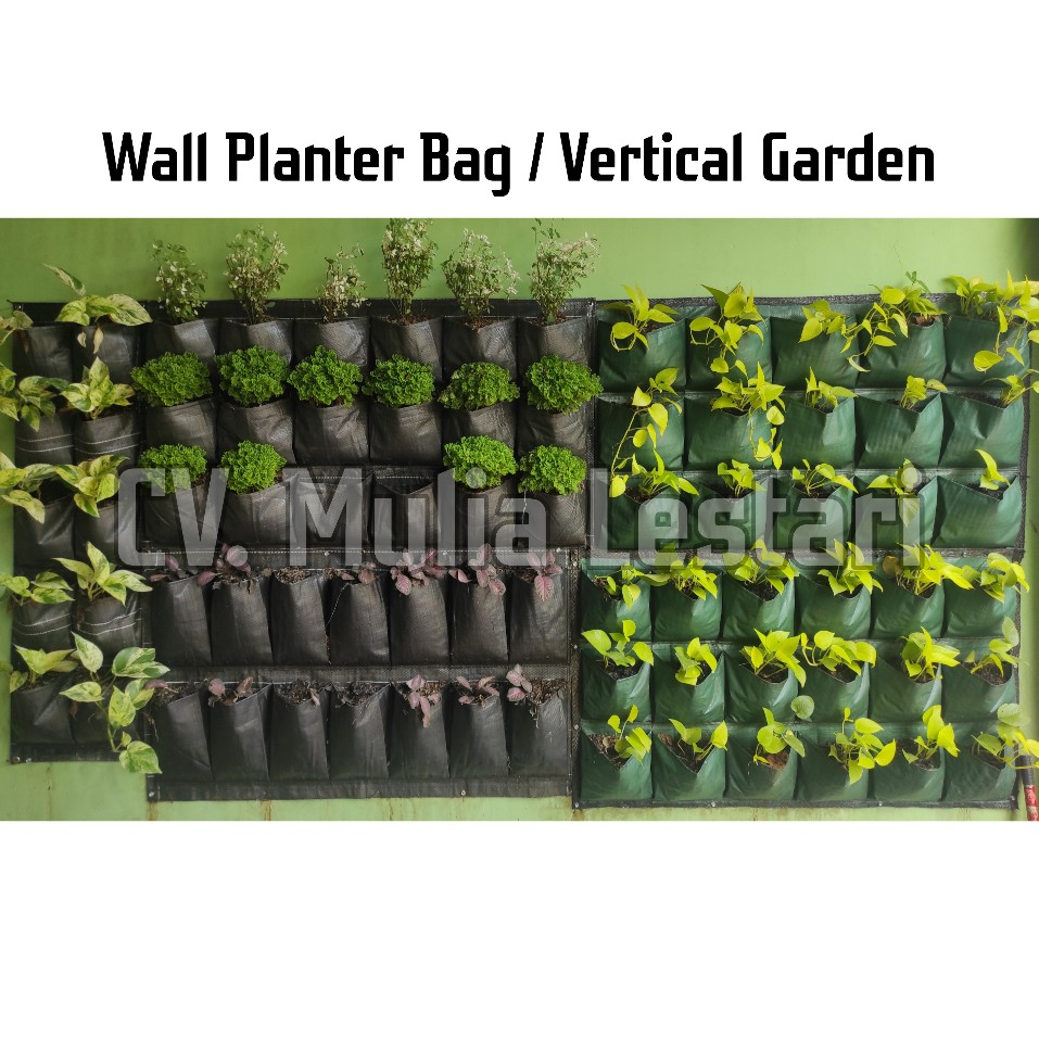 Jual Wall Planter Bag Dinding Hitam 60x100 Vertical 16 18 Kantong Vertical Garden Shopee