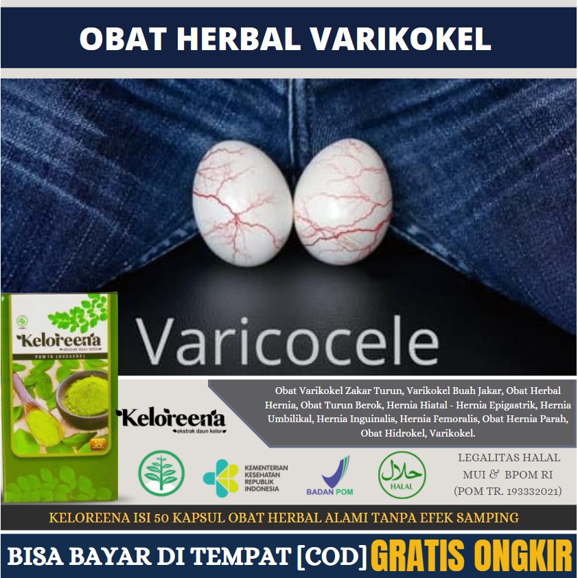 Jual Obat Sakit Testis Besar Sebelah Varikokel Testis Berkeriput