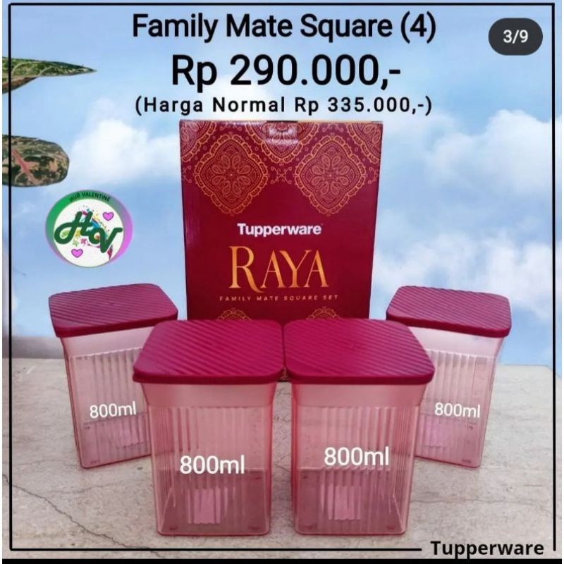 Jual toples raya family mate tupperware 800 ml set ( 4pcs ) | Shopee ...