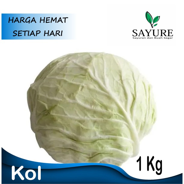 Jual Kol Kubis Sayur Kol Putih Murah 1 Kg Shopee Indonesia