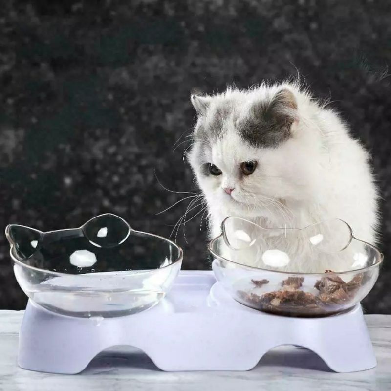Jual Tempat Makan Anjing Kucing Single Double Bowl Ergonomis | Shopee ...
