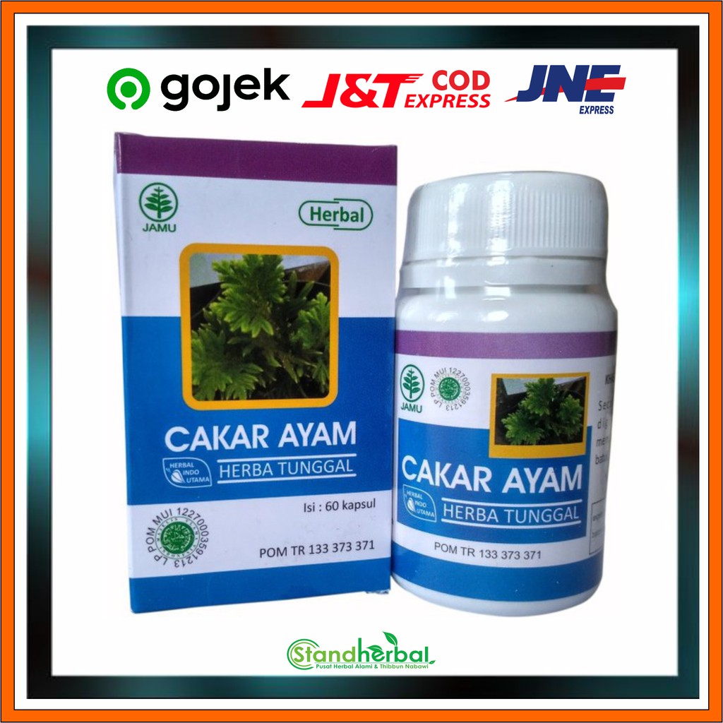 Jual Herbal Kapsul Cakar Ayam Herbal Radang Amandel Shopee Indonesia