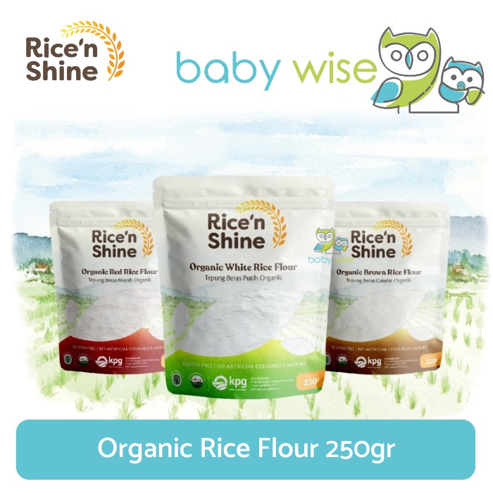 Jual Rice N Shine Organic Rice Flour 250gr | Shopee Indonesia