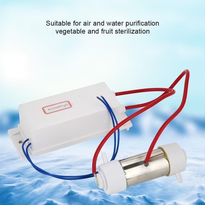 Jual DIY Ozon Ozone Water Air Purifier Generator Sterilizer 1000mg/H ...