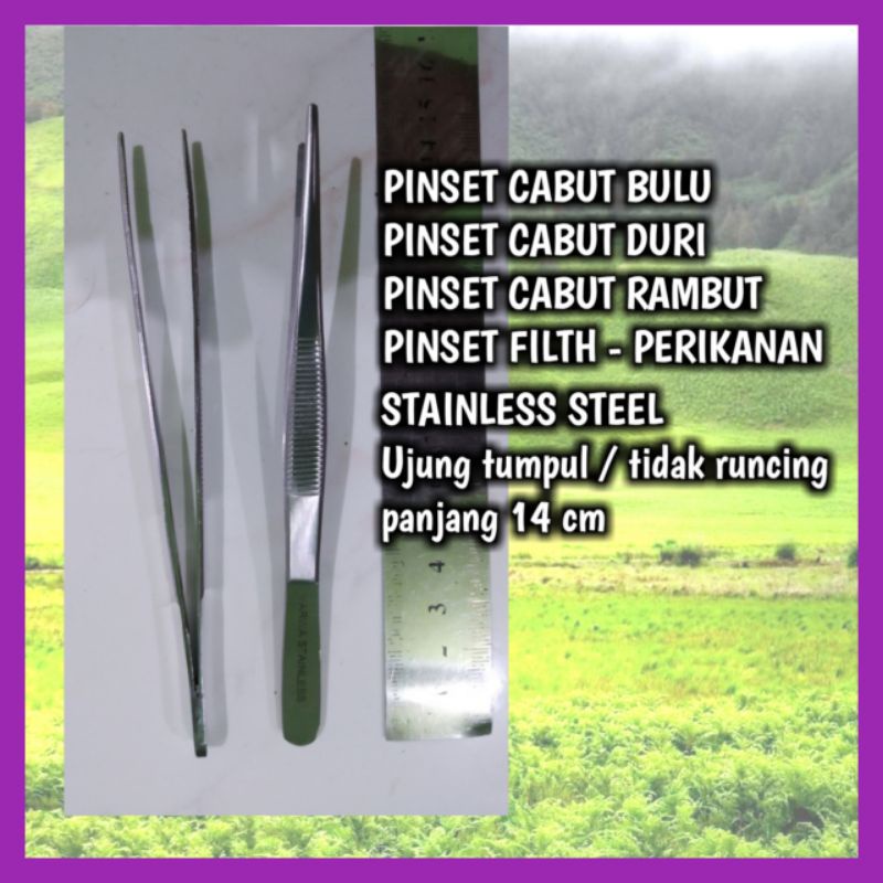 Jual Pinset Cabut Duri Ikan, Pinset Cabut Tulang Ikan, Pinset Cabut ...