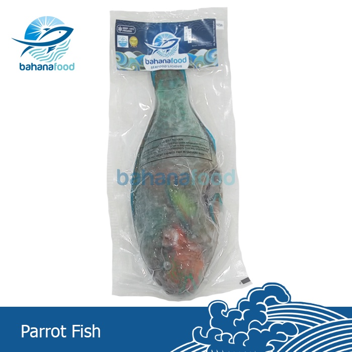 Jual Ikan Kakatua Frozen (Parrot Fish Frozen) Shopee Indonesia