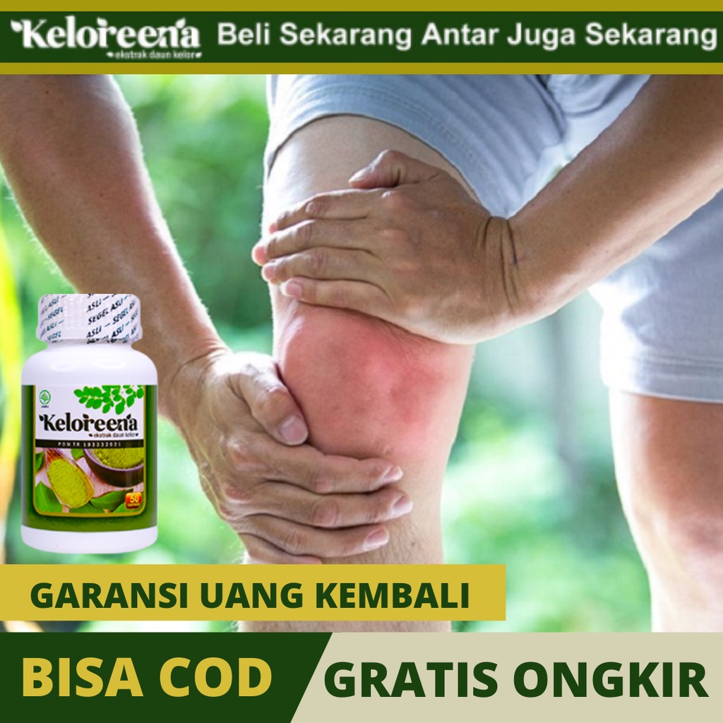 Jual Obat Sakit Lutut, Sendi Lutut Sakit, Sakit Dengkul Lutut, Nyeri ...