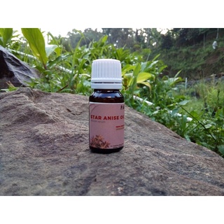 Jual 10 Ml Sampel - Minyak Adas Bintang / Bunga Lawang - Star Anise Oil ...