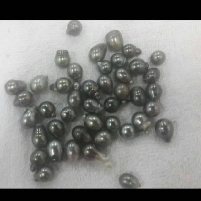 Jual Mutiara Air Laut Hitam Papua | Shopee Indonesia