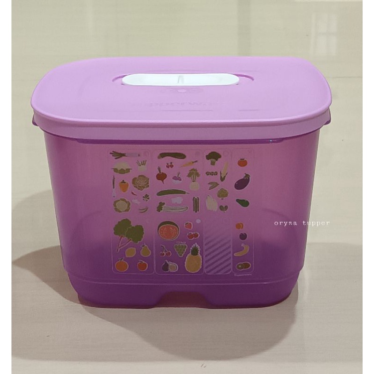 Jual Wadah aneka sayur dan buah di Kulkas - Tupperware Vensmart (1) 1 ...